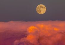 15 Full Moon Rituals for Release, Reflection, and Renewal