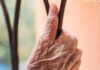 Why Hands Show Age First and How to Fix It Naturally